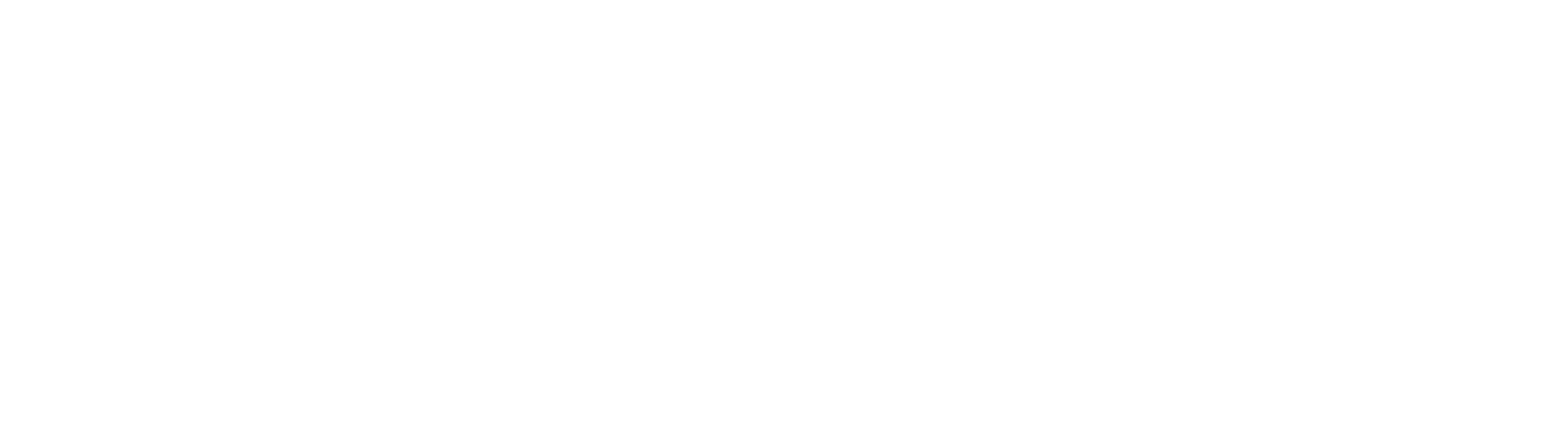 Brainscape logo white