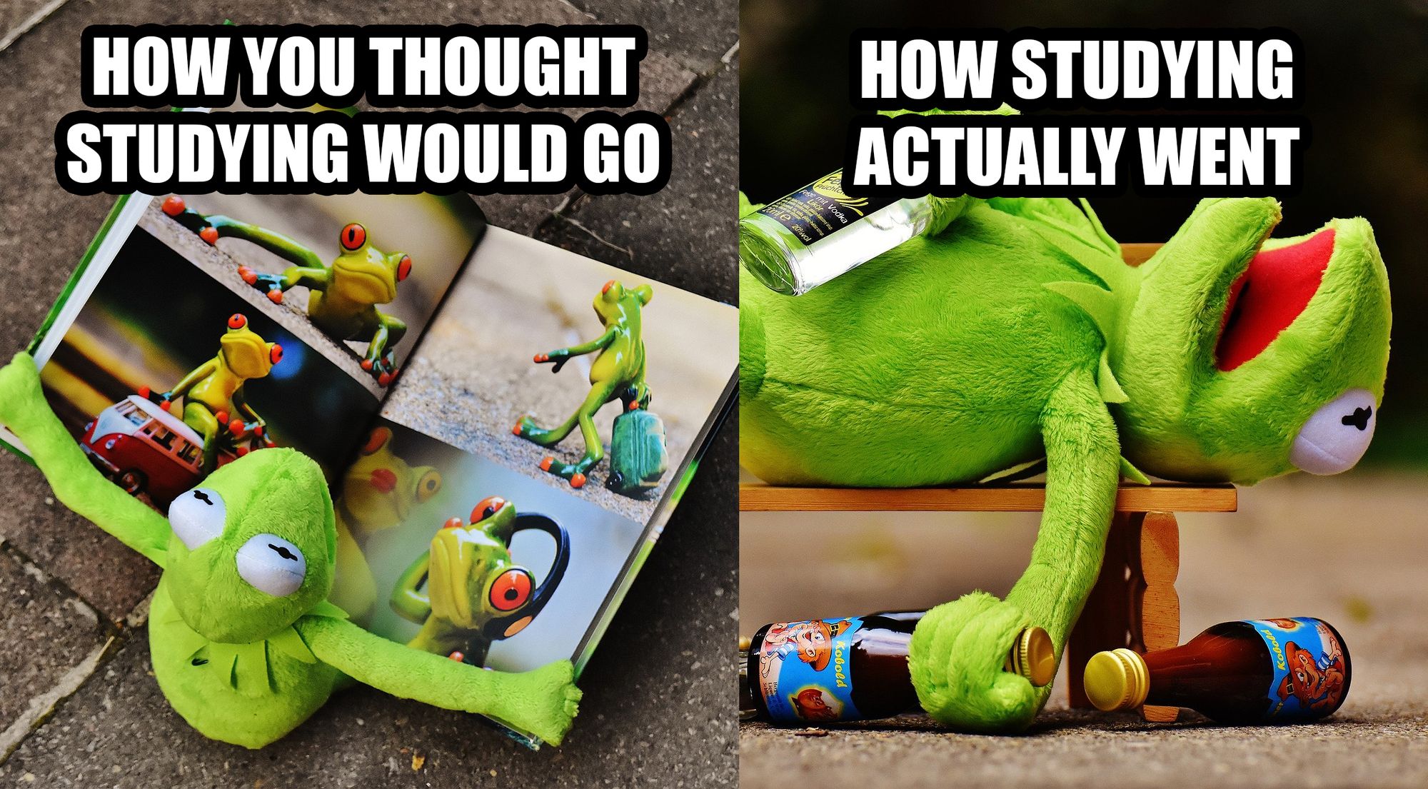 Kermit without and with study motivation