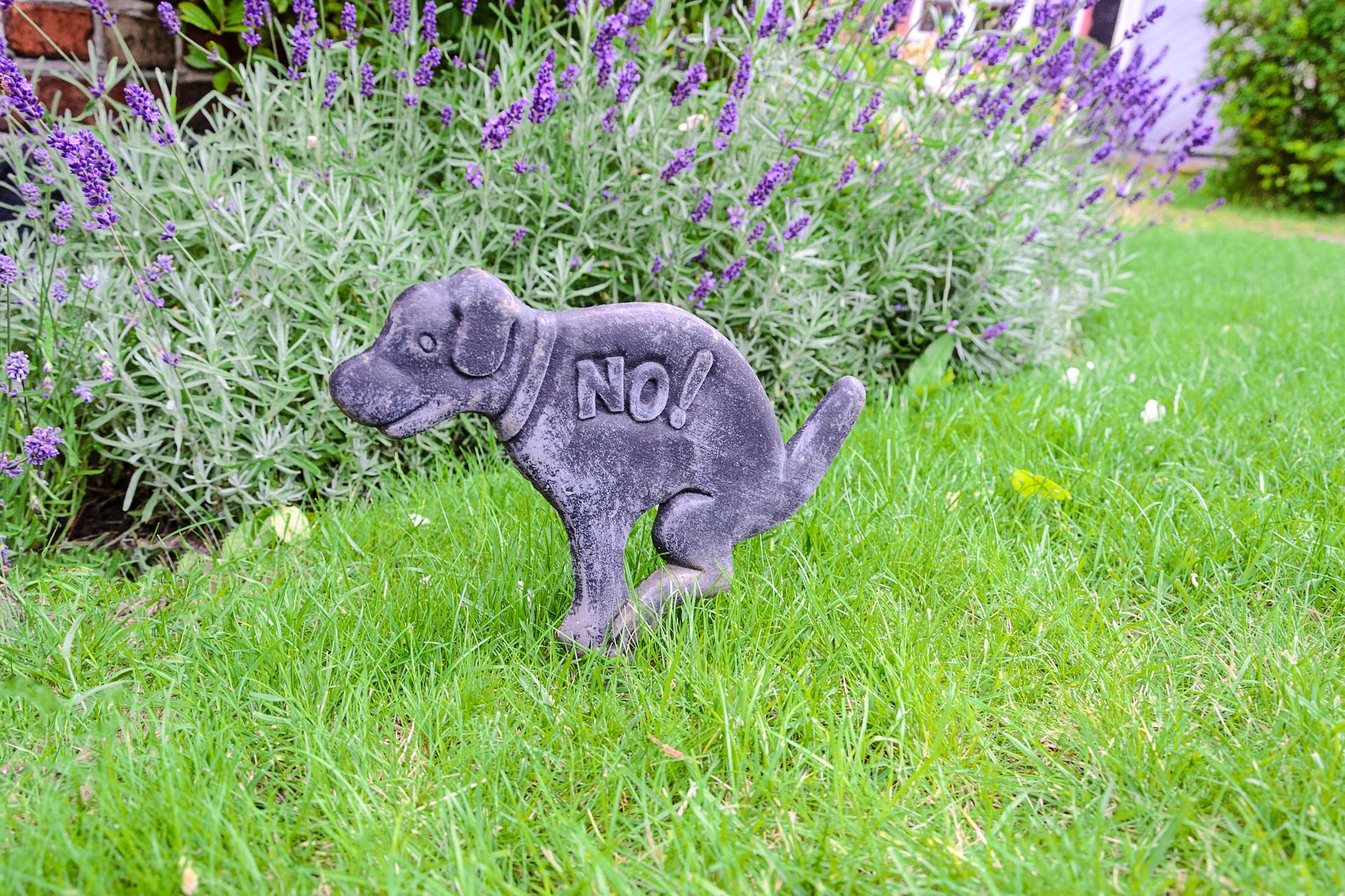 Statue of a dog in the grass