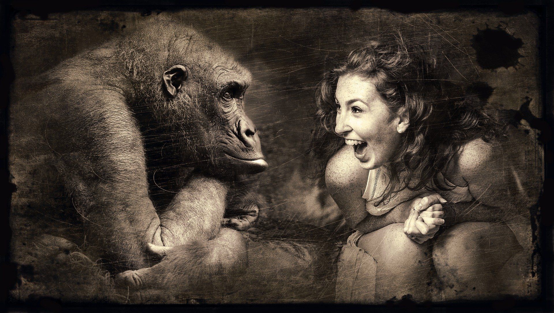 Girl talking to a gorilla to learn a language