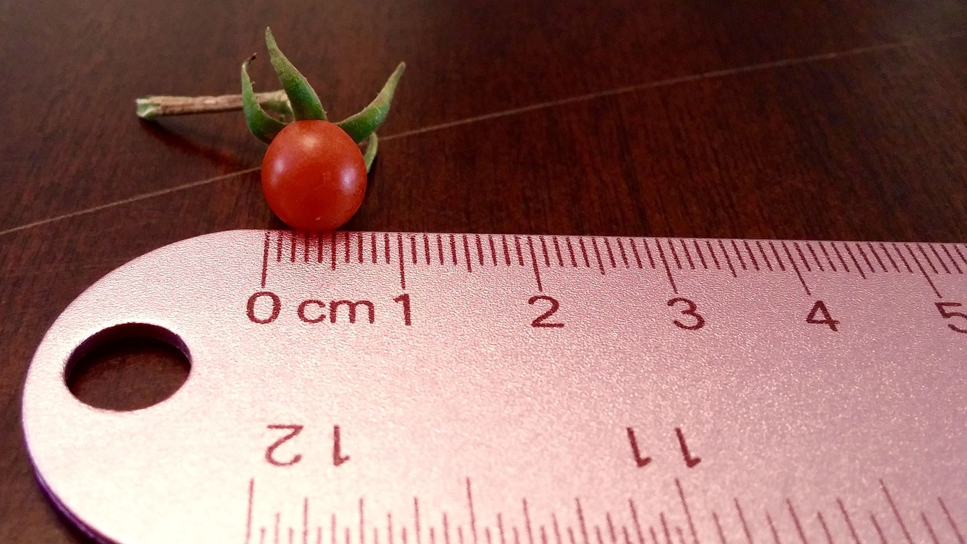 Tomato and a ruler