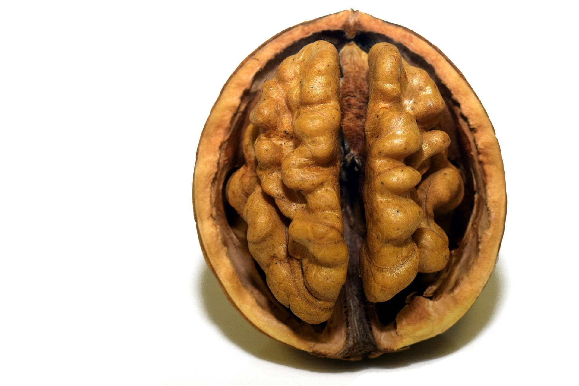 A walnut for optimal brain health