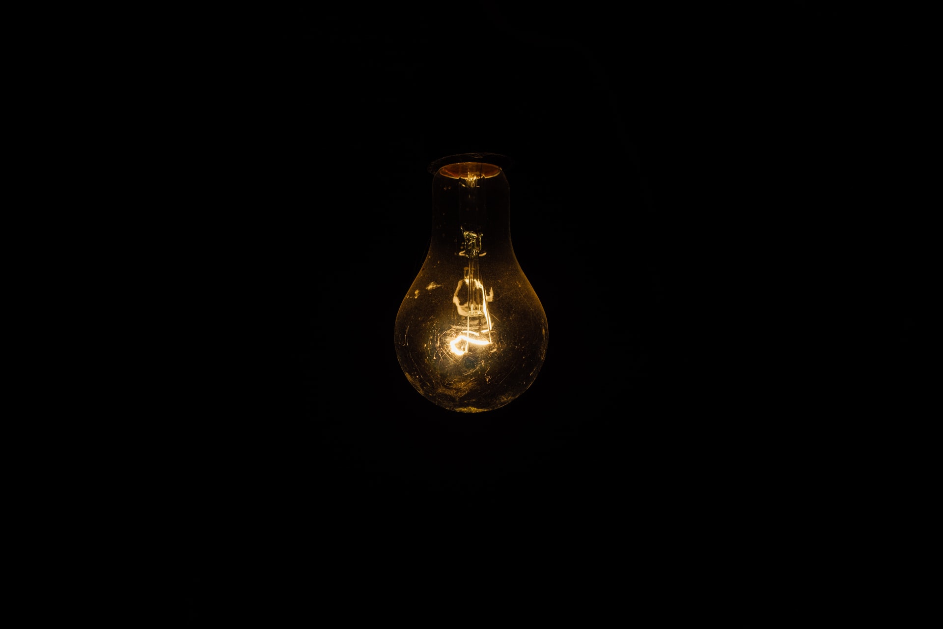 light bulb, gray matter