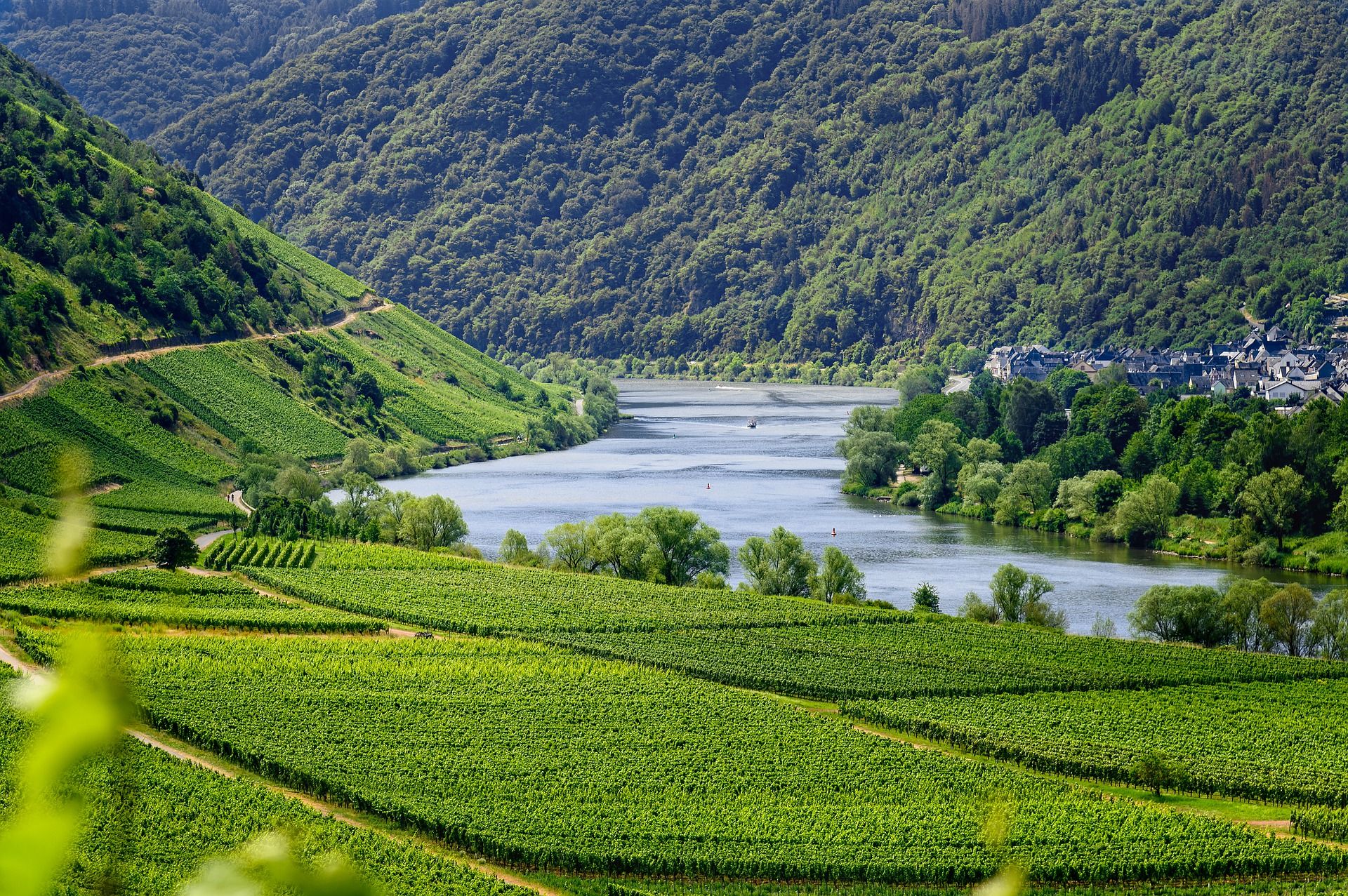 The Mosel Valley in Germany
