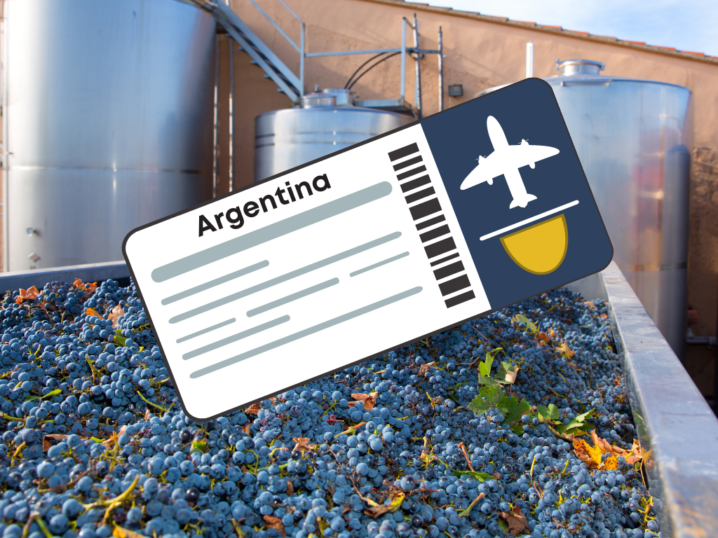 Boarding pass to Argentina; what's in wine