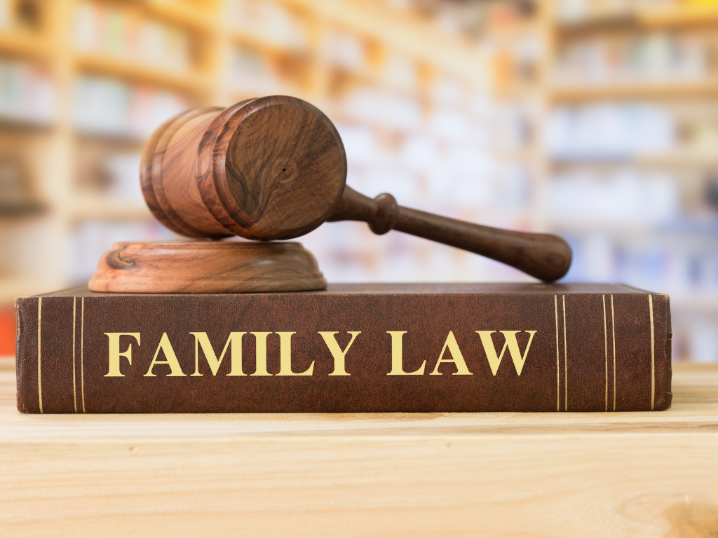 Family law textbook with gavel on top