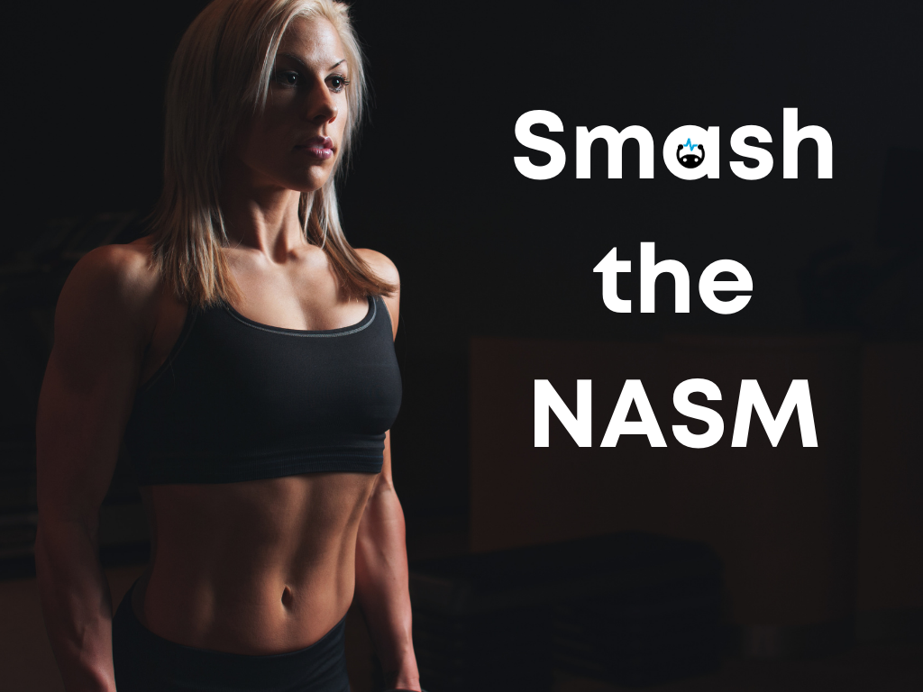 The ultimate NASM study guide Brainscape Academy