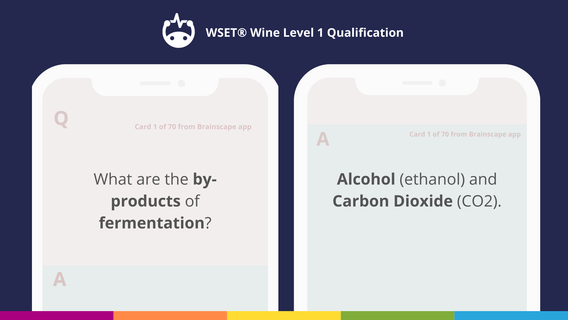 Brainscape's WSET Level 1 Wine Flashcards